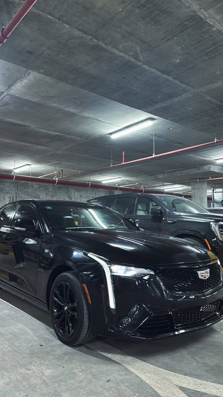 سلام عليكم اخوان
كاديلاك سيتي فور 2023 فول موصفات 

بيهه قطعتين وبيهه حافه الشاصي تعديل 

موصفاته 

1- فتحه سلايد 

2- كامرات ثنين 

3- حساسات امامي خلفي 

4-رادار امامي

4-اوتو هولد 

5-حساس زدحام اطفاء 

6- تدفئه كشنات 

7-كنشات كهرباء 

8 -تدفئه ستيرن + تبريد

9 -تحكمات شاشه لمس + كار بلي + تحديد مواقع + خرائط كله مبرمج وشغال

10-هاند بريك كهرباء دكمه 

11- تشغيل عن بعد + اطفاء

12- نضام ترحيب 

13- جنطه كهرباء 

14- مثبت سرعه + مثبت سير 

15-اربع وضعيات قياده 

وبعد بيهه شغلات هواي 

سعر تفضل خاص او اتصل على الرقم *********** رقم بغداد وسياره مكانهه بغداد
