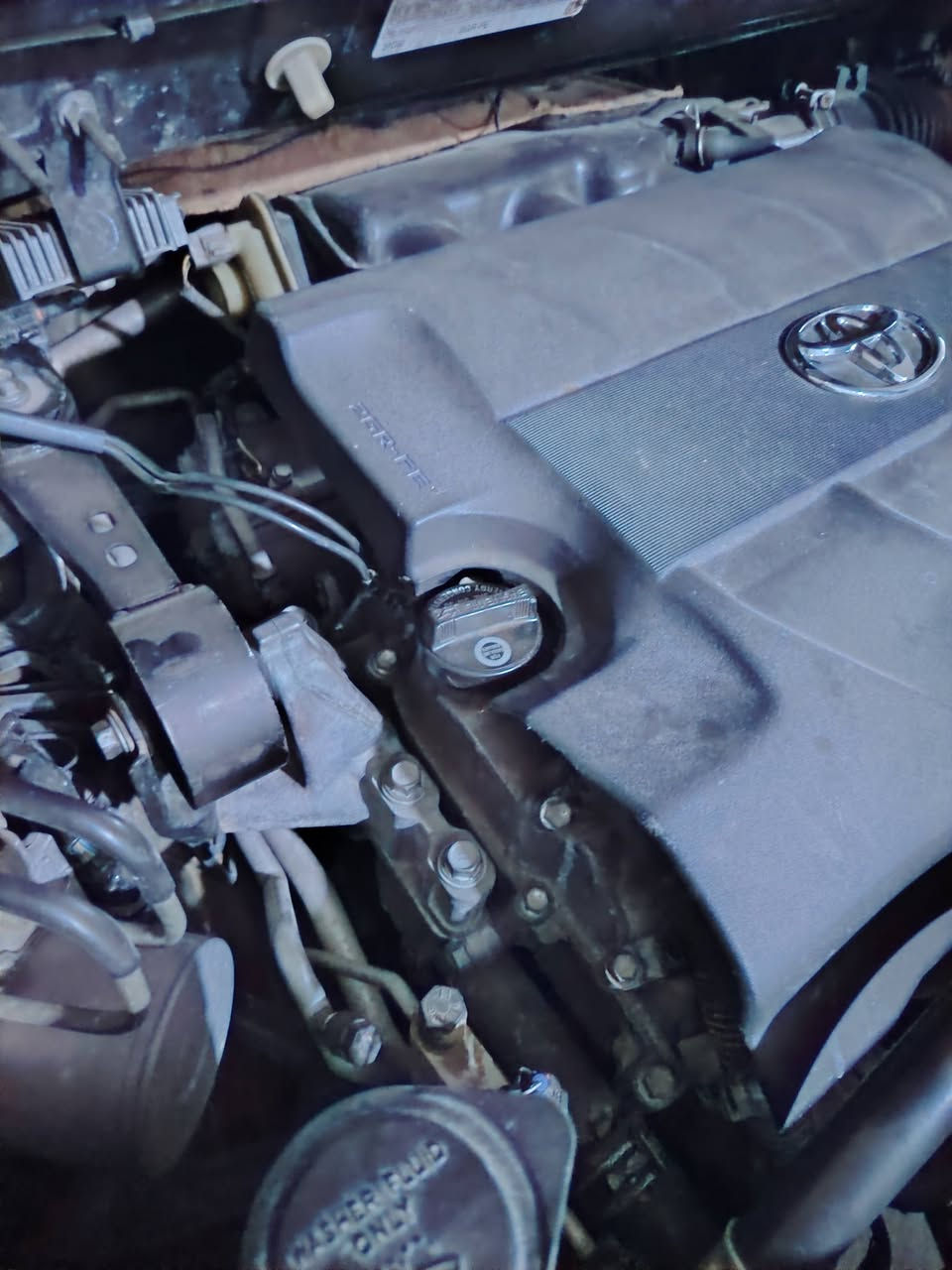 تيوتا سينا ٢٠١٢ للبيع بدون رقم سياره بجم كبس بدون كص ماشييه ١١٧ كيلومتر بدون حاديس بدونضربه سياره مال دوبي دخلت شيمال هسه قرار دكدر رقمها محافضات عيراق كيرمحريك جديد سعره ٨٠ورقه بي منفيس دوبي ***********.
