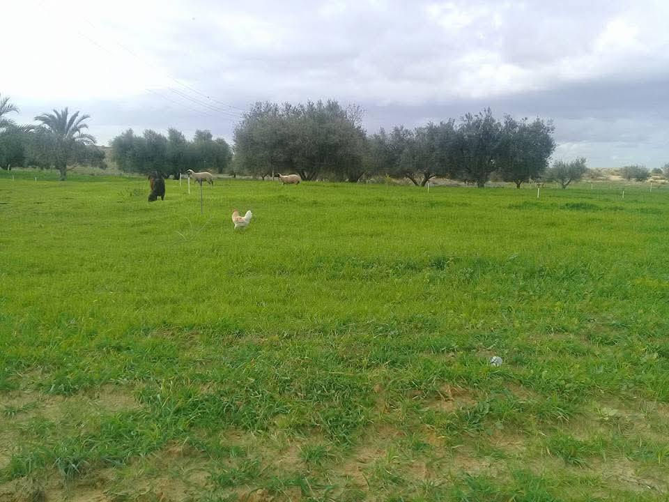 3 دوانم للبيع في النجف الاشرف على طريق الزوار
عمود 250 موقعهن جدأ راقي خدمات متكاملة
 شارعهن 15 متر بيهن مجموعة نخيل وأكثر من 20 شجرة رمال الي يحب يشتري دونم مفرد عادي ابيعله حسب الطلب السعر الكلي 45 مليون  لل3 دوانم
للاستفسار اكثر الاتصال بنا
***********
‏‪***********
