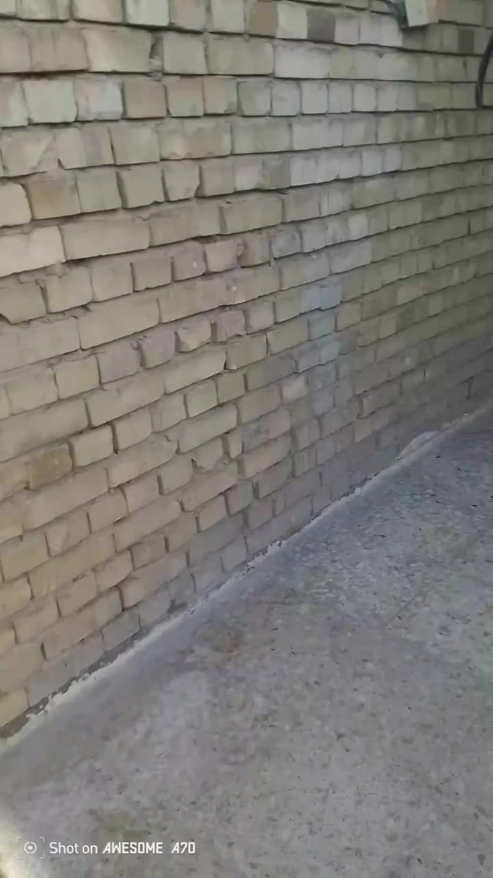 بيت بيع مساحته 71ونص مشترك طابق واحد طرمه مطبخ وغرفة نوم سند 25 بسمي عنوان الامين سكينه مقاطعة 2 8 بدايه يم مولدة وسام قرب اسوق ابو زينب واتساب ***********
