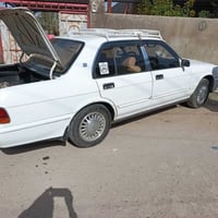 ارنب أيسر • مكفولة من الكصه • قضاء القرنه