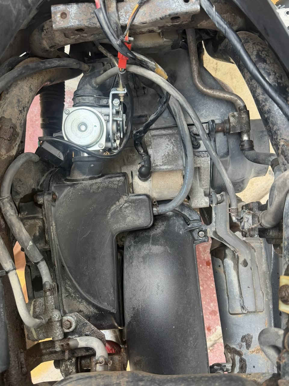 ماكس عدله للبيع شرط الفحص دراجه كارتون  السعر خاص


**إذا كنت صاحب هذا الإعلان وتريد حذفه لأي سبب، رجاءا أرسل رسالة إلى الدعم الفني**