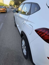 توسان • ٢٠٢٠ • رقم أربيل