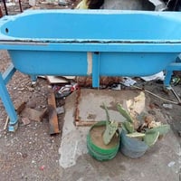 حوض سماك • حوض سمك • اكواريوم