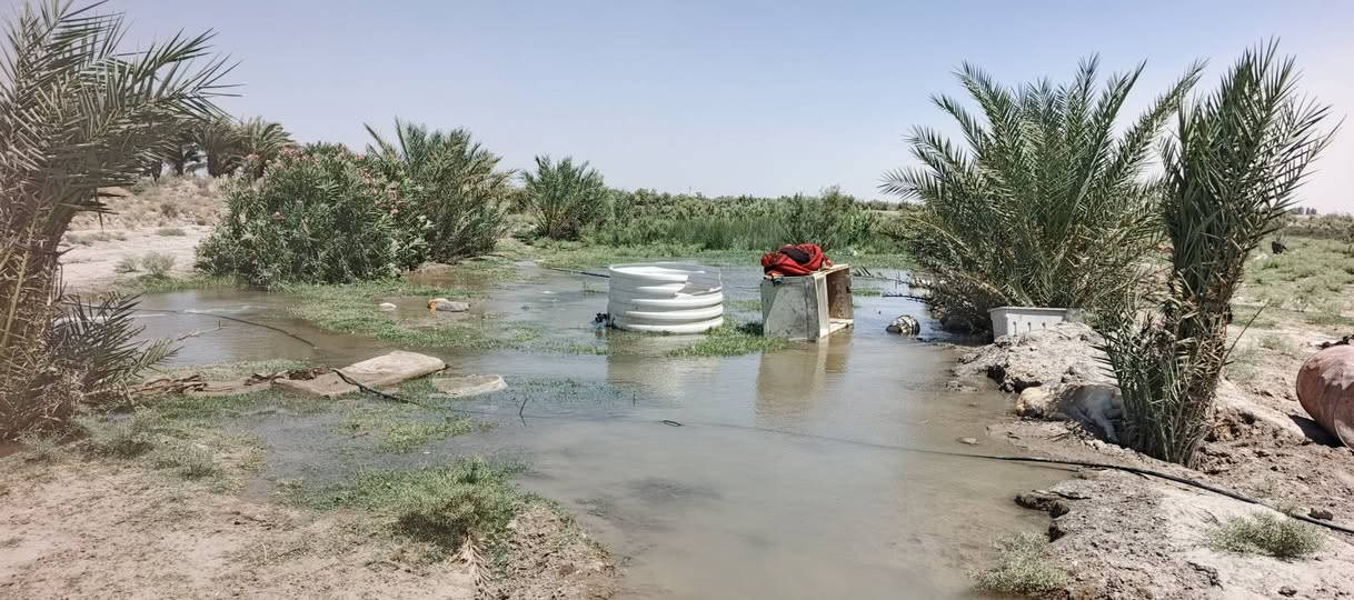 سلام عليكم ارض زراعيه للبيع 90دونم صالحه لزراعه
ماء كهربا محوله جديده. 
نخيل اكثر من 100نخله مثمره
بيوت عدد 2  تمتاز بموقعها  لجغرافي.  تطل علئ المالح   تبعد عن لتبليط اقل من كيلو متر  السعر  خاص رقم الهاتف  ‏‪***********‬‏
