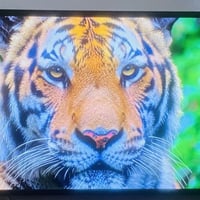 شاشه للبيع  بغداد الشعله سمارت اصدار 4.4.4 حجم 50   07779892253