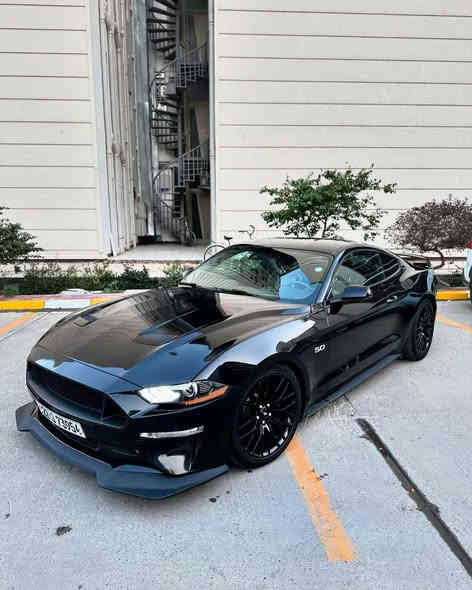 للبيع موستنك gt 2020 تراك بكج نسخة fifty five 
لون اسود 
كير اوتو عشر نمر 
السيارة فول مواصفات افول شى بل gt 
دجتل 
اكتف اكزوز 
اربع وضعيات قيادة
شاشة جبيرة sync3  ( ابل كار بلي ، اندرويد اوتو )
سبوفر بلادي 
سستم سماعات
كشنات جلد 
تبريد تدفئة كشنات 
نقط عمية 
تحديد مسار 
مانع اصطدام
فجوج برمبو سته بستم اكبر شى اجه للموستنك 
اضاء داخليه للسيارة بلادية 
اشارة الحصان بل مراية الجانبية 
باجات نسخة ال 55 
كيجات مال تراك بكج مال فايكوم و اويل برشر
ويالة تراك بكج اصلية حجم 19 وتخم تايرات جدد 
السيارة عليهة اضافات خفيفة 
اكسل  مال تراك بكج 
لويات ايباك
داون بايب 3 انج
اكس بايب روش اصلي 3 انج 
برمجة 
السيارة بين فترة وفترة اسويلهة ادامة من ناحية الدهن و البلكات 
مهتم بيهة كلش 
السيارة ب اسمي سنوية تحويل ثاني يوم بس وكالة ما اسوي فقط تحويل ب اسمي رقم اربيل الجديد اني المالك الاول الى السيارة 
 ماشيه 52,500 كيلو 
الحادث ( الجاملغ الخلفي جهة الراكب مصبوغ و نص الجاملغ 
الامامي و البنيد ) حادث امريكا فقط
السعر على الخاص او التواصل على الرقم ( *********** )
السعر:٢٤٠ وبيهه مجال 
مكان السيارة بغداد الحارثيه
