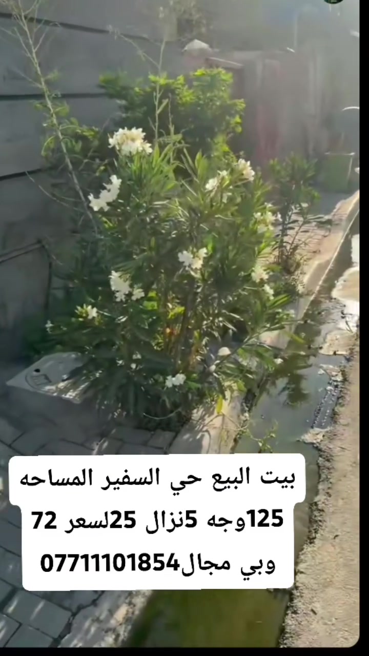 سلام عليكم بيت البيع حي السفير المساحه 125 وجه 5نزال 25 لسعر 72 وبي مجال نوع العقار طابو زراعي سند 25 ***********
