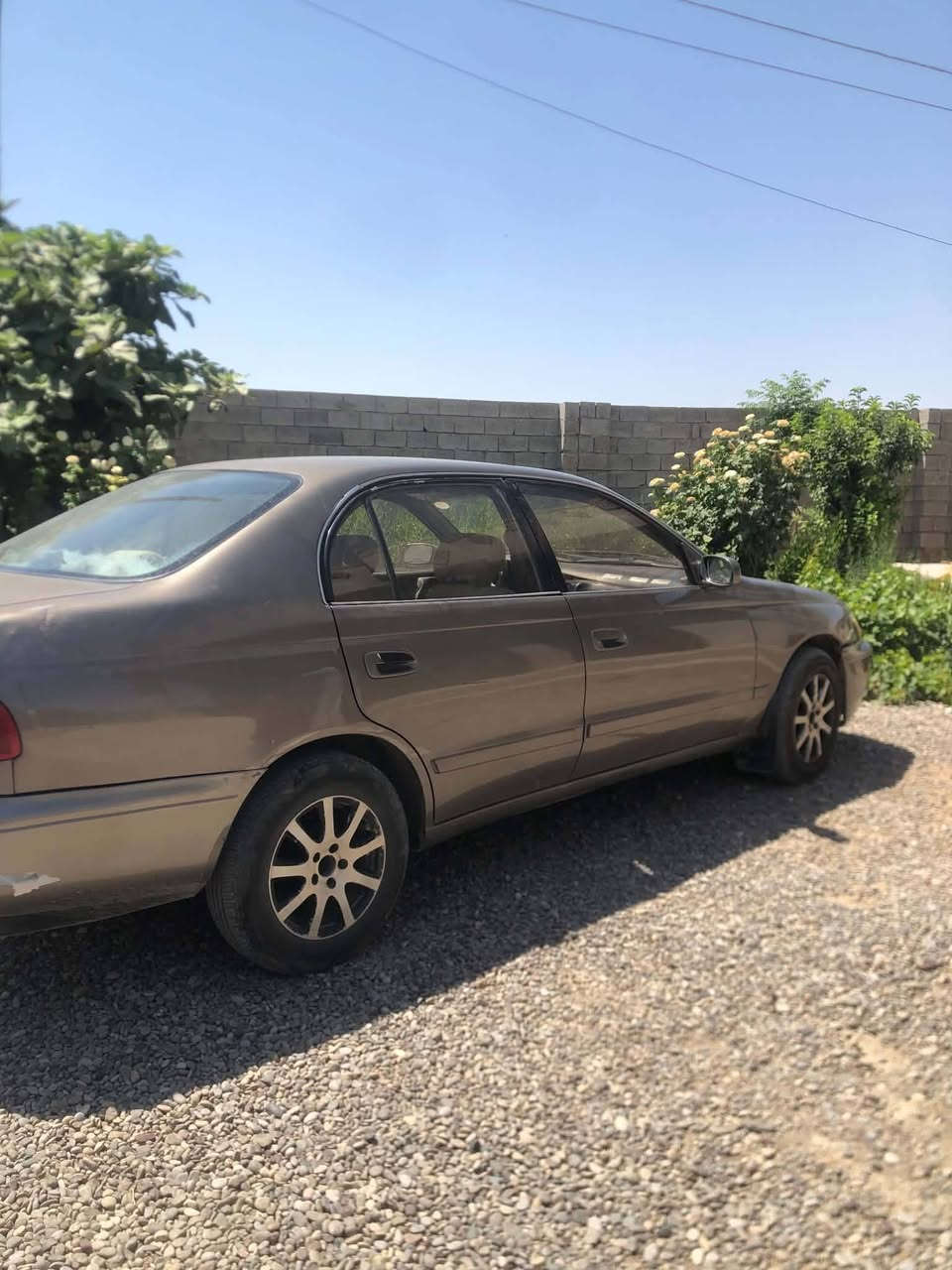 فرخ بطه موديل 92للبيع مكان ناحية الكوير للأستفسار اتصل 
***********
