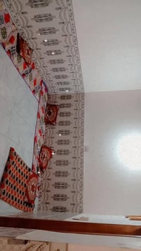 ام عصافير زراعي • ١٢٥٠م • ٢ حمام