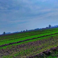 أرض زراعية • اليوسفيه بئرالحمام الشارع الثاني • ١٠ دونم