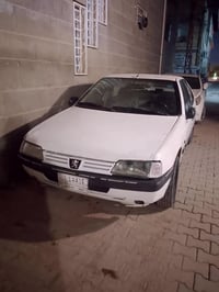 بيجو روئ • ٢٠٠٩ • ورق نجف