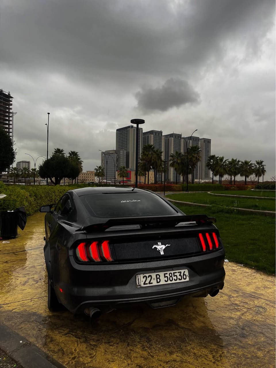 مۆستانگ ٢٠١٧ v6 
٣پارچە و نیو هەیە چامرغی سایەق بۆنیت چامرغی سەکن  قەلەمکاریەکی تێدایە بۆ جوانی سبوغکراوە لەگەڵ نیو دەرگا سەکن شانسی نەگرتووە تەنها بەطانەی کەمێکی گرتووە سەیارەیەکی بێ کێشەو بێ مەسرف تازە سبوغکراوەتەوە  جوانکاری  کاملی بۆ کراوە دەعامی شێڵبی  سەقف ڕۆسرایزی بۆ کراوە بەگلایت سمۆکە ویلی درعی لەسەرە بە ناوی خۆمەوەیە دوو ملیۆن و ٦٠٠هەزار  غەڕامەی لەسەرە دوای مامەڵە بۆت دەگەڕێنمەوە ژینگە و ڕێگاوبانی نوێیە پێش و پشتی هەمووی توند کراوەتەوە بەردی گزۆزی تێدایە نرخی ١٤٥ وەڕەقە و مەجالی تێدایە *********** أربيل, العراق
