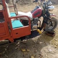 ستوته • السعيده • مكفول كامل