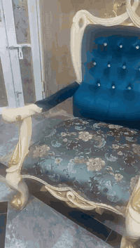 تخم زان تركي الاصلي
مكان بلديات الضباط
رقم ***********     السعر ٥٠٠  قفل
