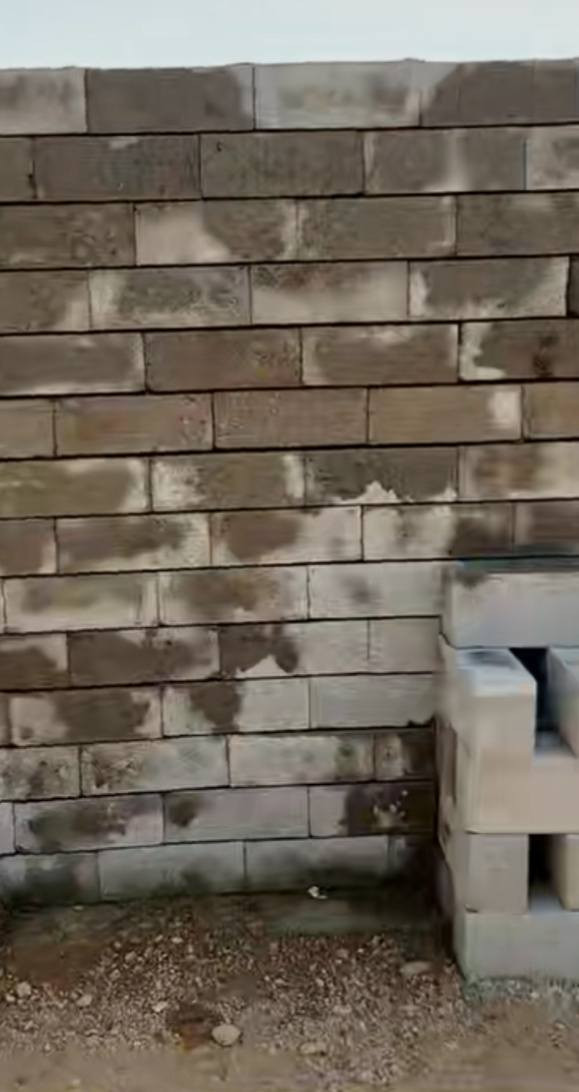 بنا متفرق اشتغل بل يوميه بل الف هذا رقمي للتواصل***********///***********
