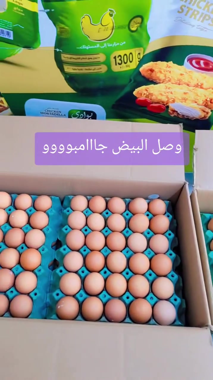 مرررركزبيع مباشرررحي تونس قرب صيدلية الرذاذ دجاج الريان والبوادي🐔🥪🍗🍕🍖🍟🌭 وصول البيض العادي والجامبو🥚🥚 من شركة الريان والبوادي للحجز والتوصيل***********
