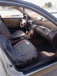 حدادية • تاير • نقل سنوية