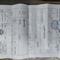 المعلمين D • ٢٠٠م • فرع ١٢م