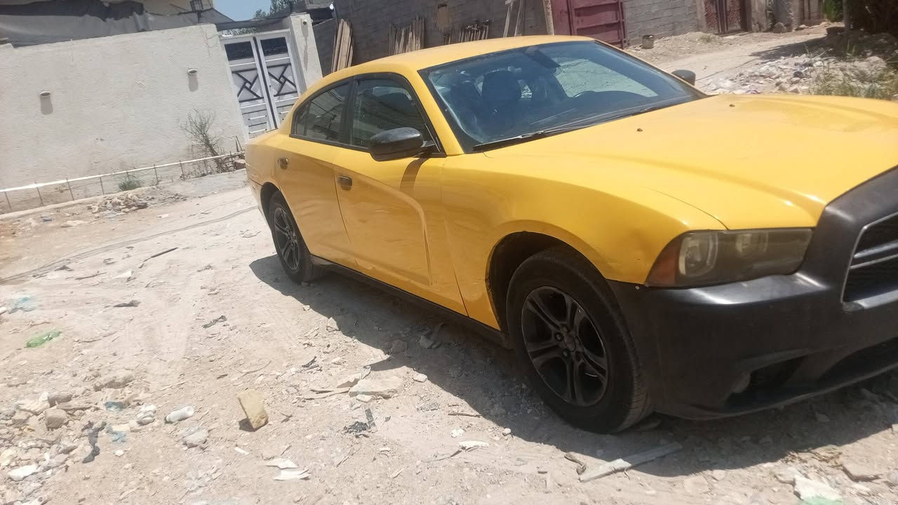 تفاصيل داخل الصور شراي يدالل
