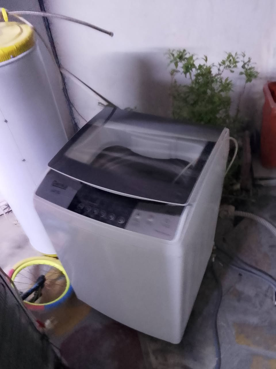 غسالة اوتماتيك للبيت السعر 250 مكاني زعفرانية سعيدة جديدة ونضيفة


**إذا كنت صاحب هذا الإعلان وتريد حذفه لأي سبب، رجاءا أرسل رسالة إلى الدعم الفني**