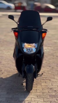 دراجة • مراوس • لون رصاصي