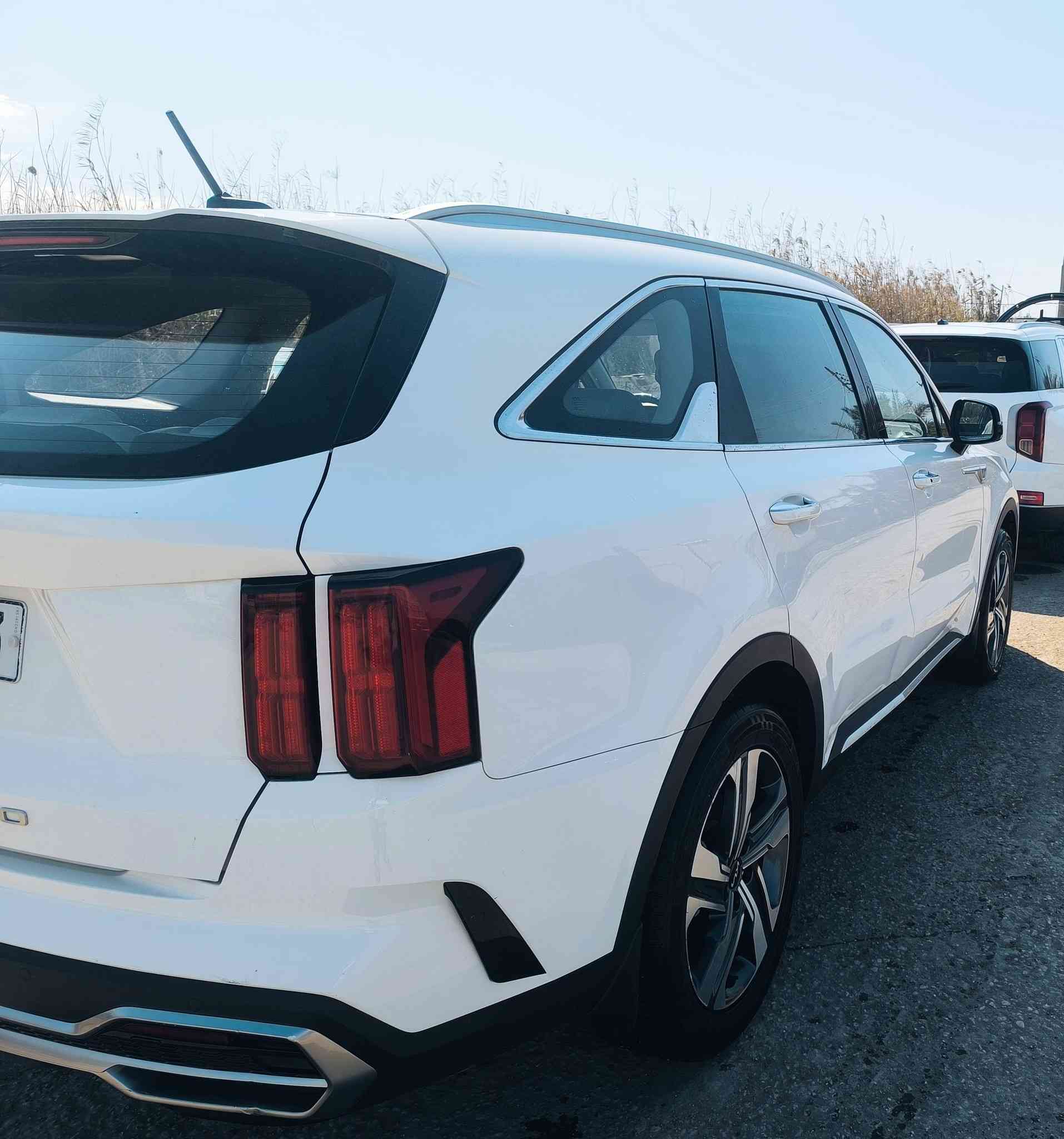 سورنتو موديل 2022
خليجي 
7راكب
6سلندر
4وضعيات قيادة 
3قطع تبريد
تبريد ثلج
كير ماوس 
سايد بريك دكمة 
مقاعد كهرباء
تحكمات
رقم بابل انكليزي
ماشية 107
العنوان بابل القاسم 
***********
