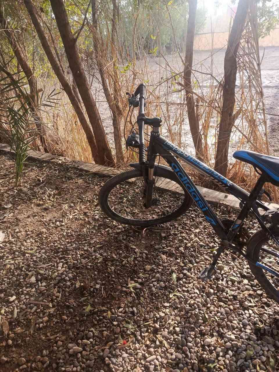 بايسكل لبيع سعره 60الف وتفاصيل رقم***********
