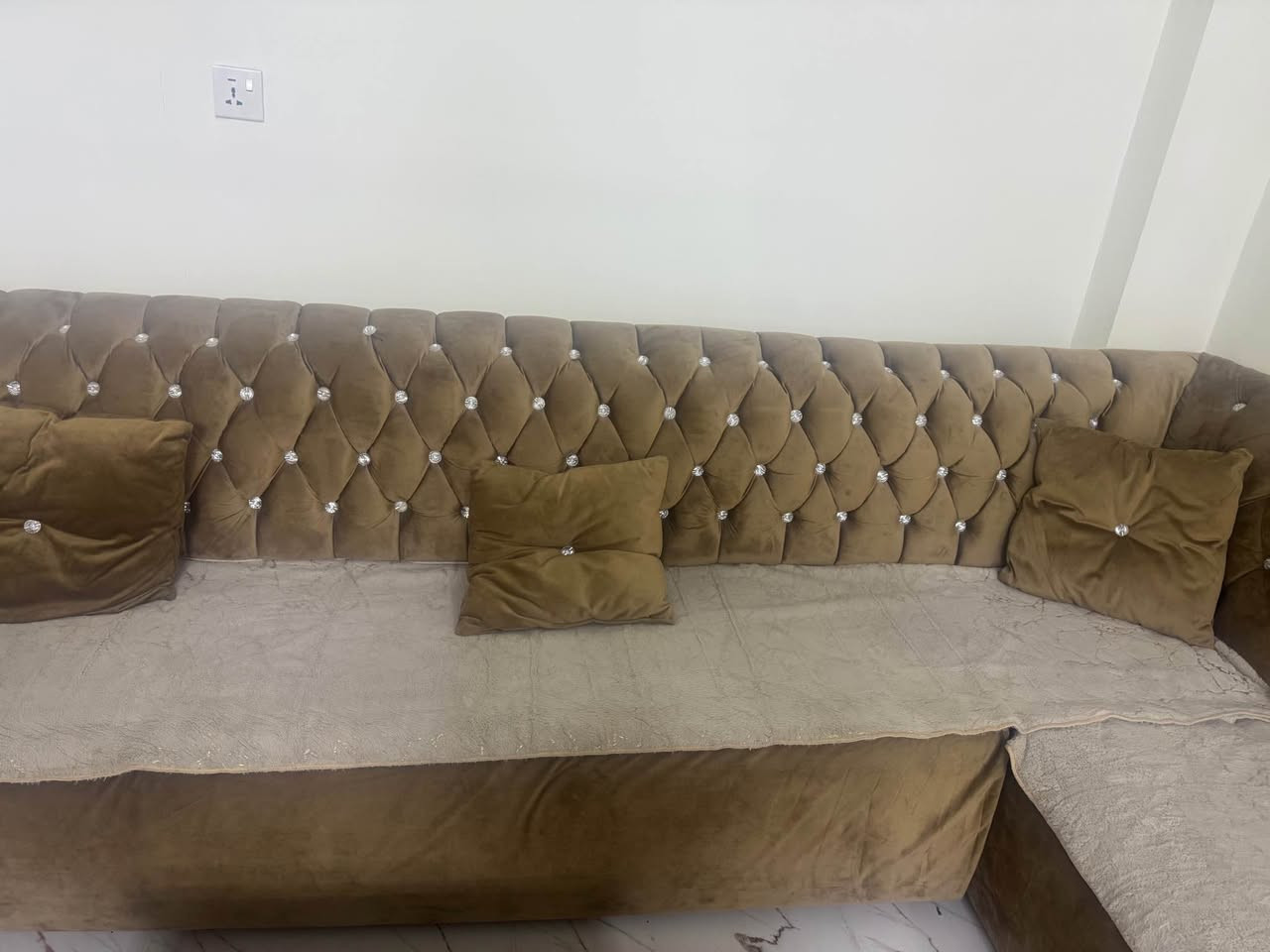 تخم قنفات ديوان للبيع السعر 350 وبي مجال بسيط .للاتصال *********** كركوك, العراق
