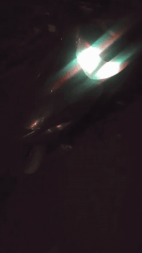 سلام عليكم ماكس ١٤٠كوم.حديد.لا تكلي شبيه تجي تحمل وتطلع سعر ١٥٠وبيه مجال يعني قفله١٢٥مكاني بغداد دوره ***********
