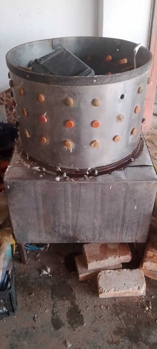 هلاس دجاج مستعمال لبيع


**إذا كنت صاحب هذا الإعلان وتريد حذفه لأي سبب، رجاءا أرسل رسالة إلى الدعم الفني**