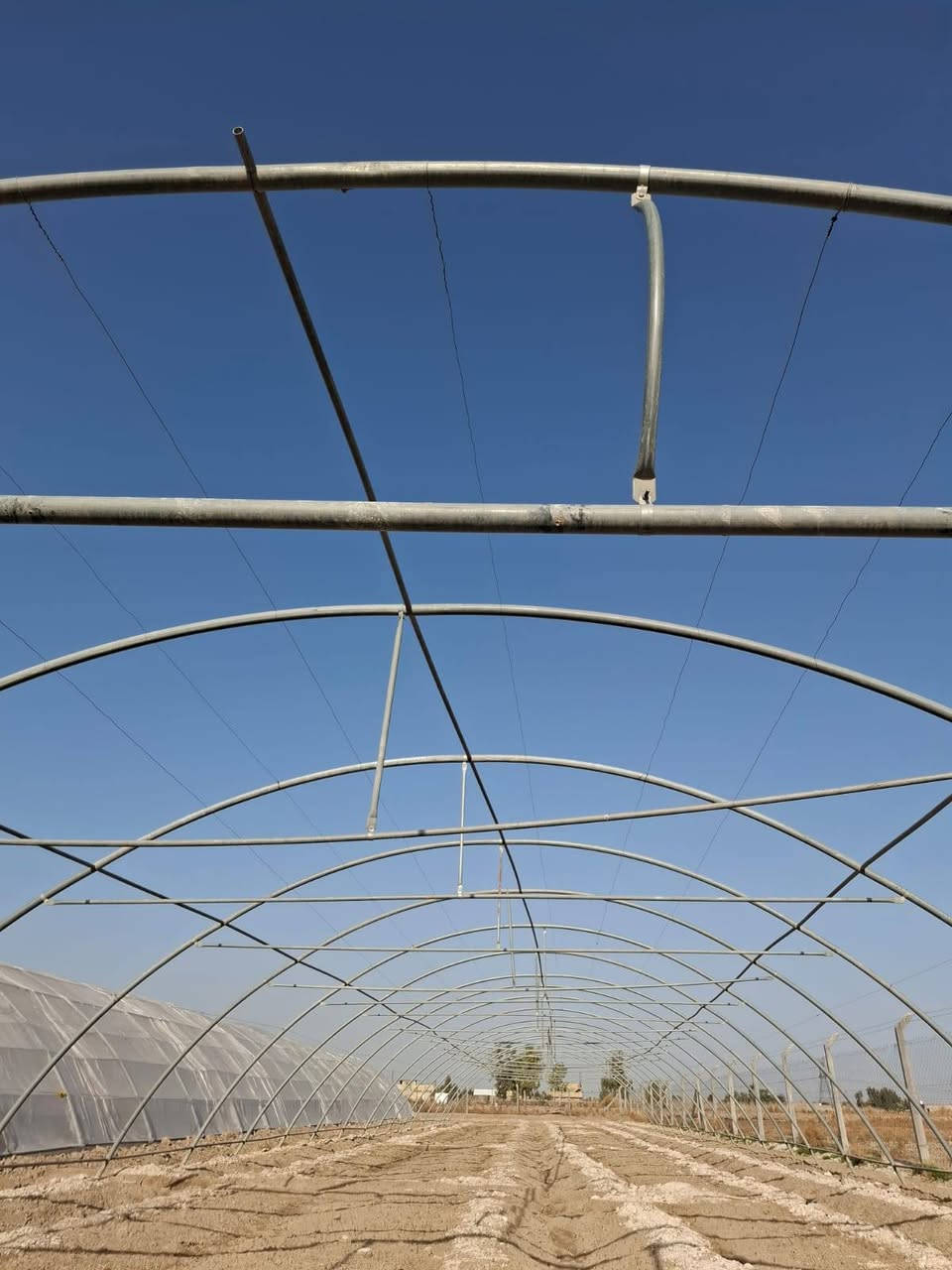 السلام عليكم للبيع بيت زجاجي اردني مستخدم  اخو الجديد الطول 52 والعرض 9 مع السيم كامل ماعدى الايلون الاستفسار ***********
السعر 1900 بي مجال قليل
مكان بابل الحله
