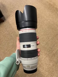 عدسة كانون ٧٠-٢٠٠ • فتحة ٢٫٨ • شارع فلسطين