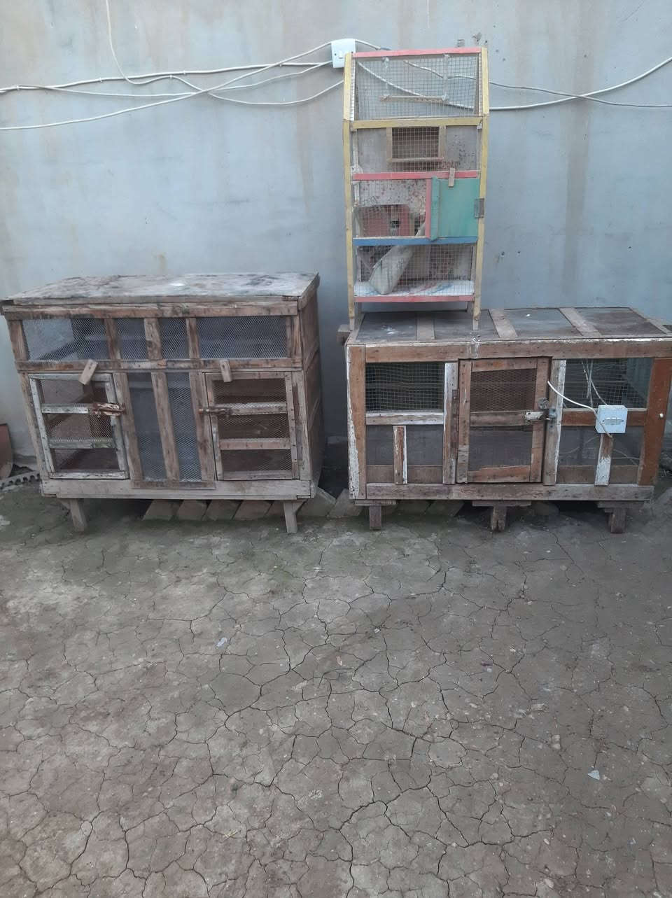 السلام عليكم ورحمة الله
متاح للبيع 3 اقفاص اثنين منهم مال صواصي واحد منهم مال بلابل حب كلهم شلع 50 الف المكان كوكجلي


**إذا كنت صاحب هذا الإعلان وتريد حذفه لأي سبب، رجاءا أرسل رسالة إلى الدعم الفني**