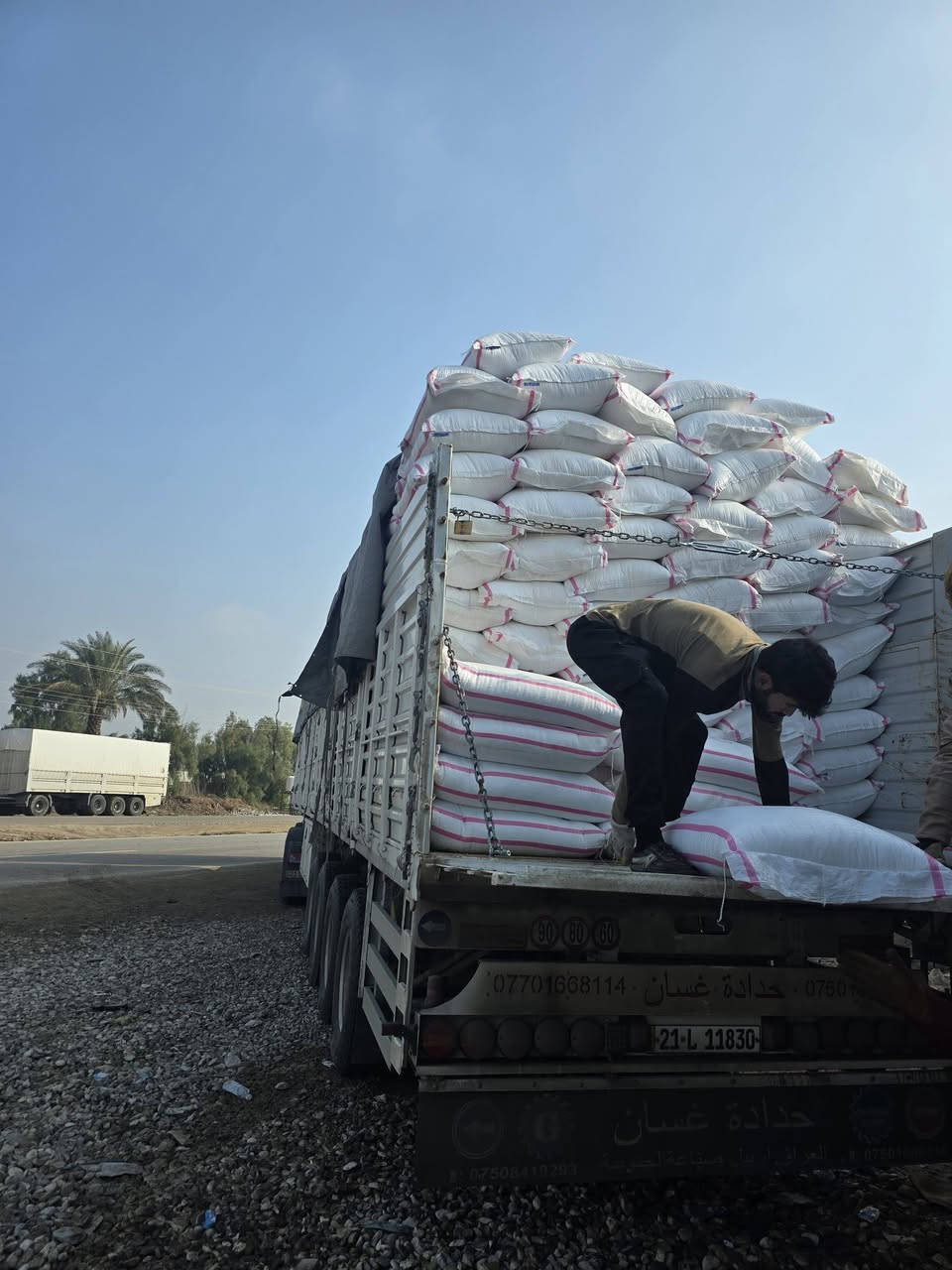 يتوفر الداب السنبلتين ss الأردني بكميات كبيرة وبأسعار مناسبة
السعر جدا مناسب للفلاحين تخفيضات 
تم وصول سماد داب  علامة #السنبلتين Ss
إنتاج الشركه #الاردنيه #اليابانيه 

فعال جداً للنباتات والبذور 

#توصل مجاني 

بسعر تنافسي مناسب

#جمله _____
  العنوان بابل الشوملي 
***********
***********
