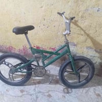 باسكل جبلي • ابو الدبل