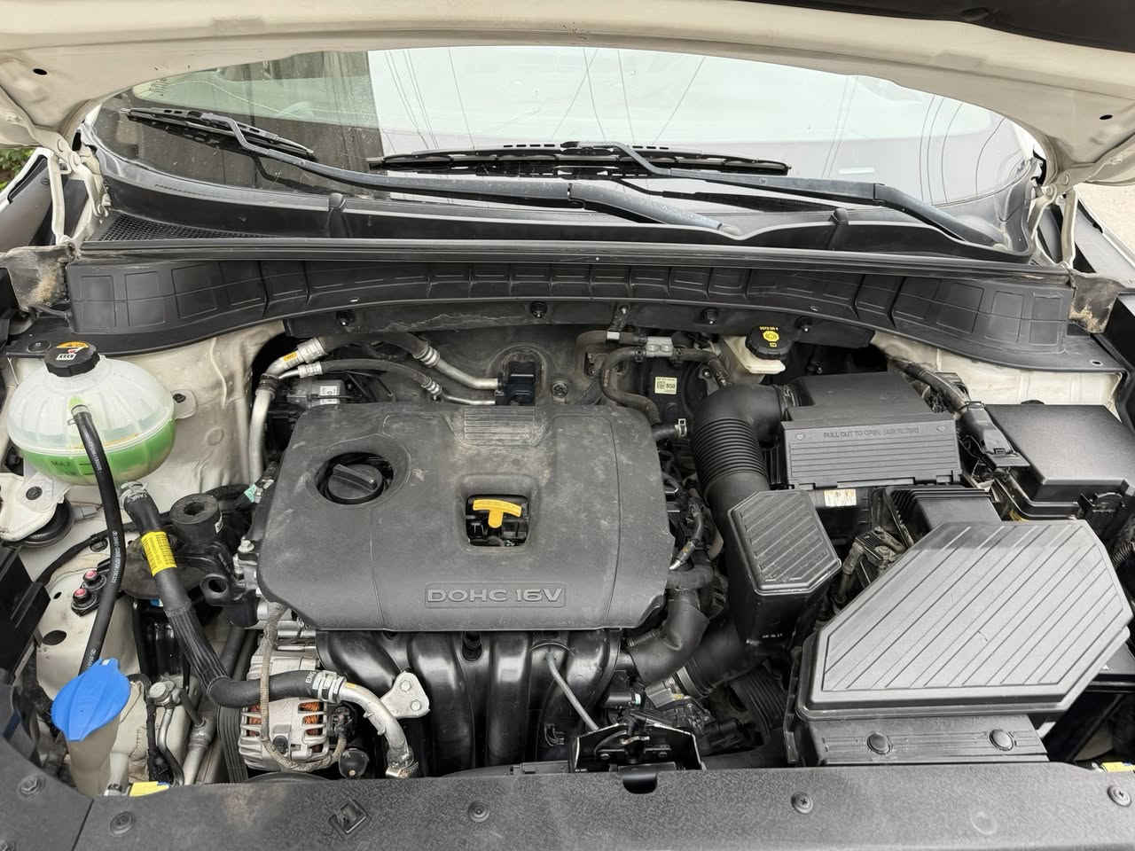 توسان خليجي شركه الكاصد  موديل 2020 رقم بغداد مكفوله من الضربه والصبغ عدا بارد شويه بجاملغ امامي  ورصعه صغيره محرك 2000 دوش بصمه كراسي اثنين كهرباء شاشه كامره حساس امامي خلفي مري شفط لايت زنون 5 عدسات 5 ويل كب بصمات عدد 2 كير محرك صدر تايرات جاهزه مكاني بغداد الاطباء 
السعر 183

***********
