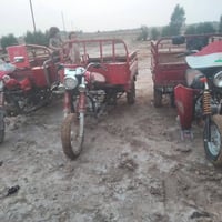 ستوتات ٣ • وراق كامله • كفالة