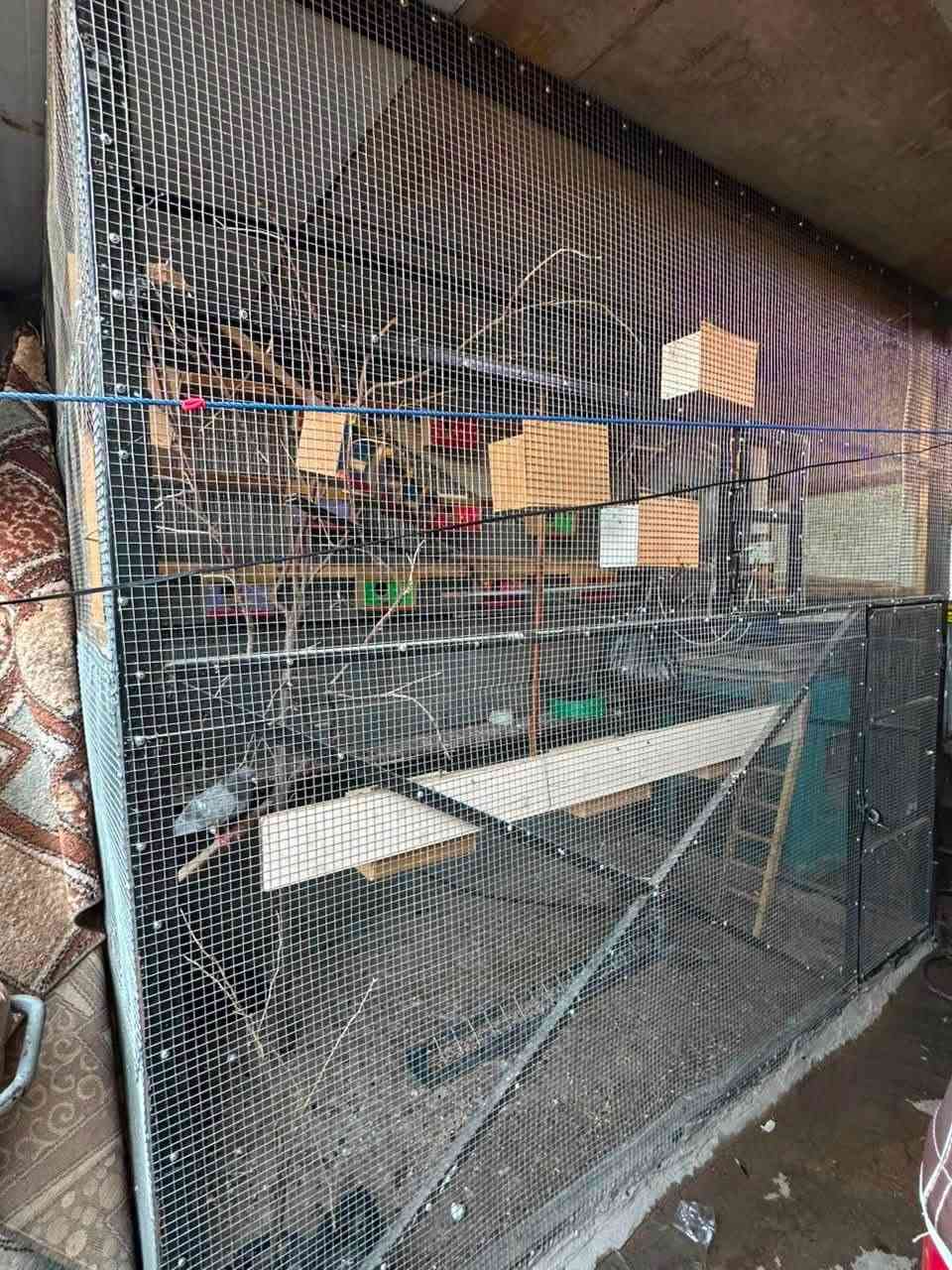 سلام عليكم قصف حديد ارتفاع ٢١٠ نزال١٤٠طول٢٤٠ بغداد ويا ٣٠ قفص تقريبا السعر ٢٥٠ ألف وبي ومجال  ***********
