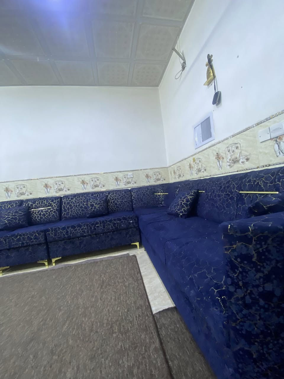 تخم قنفات للبيع ***********واتساب
