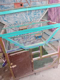 قفص • الحصوه • ديكور منزلي