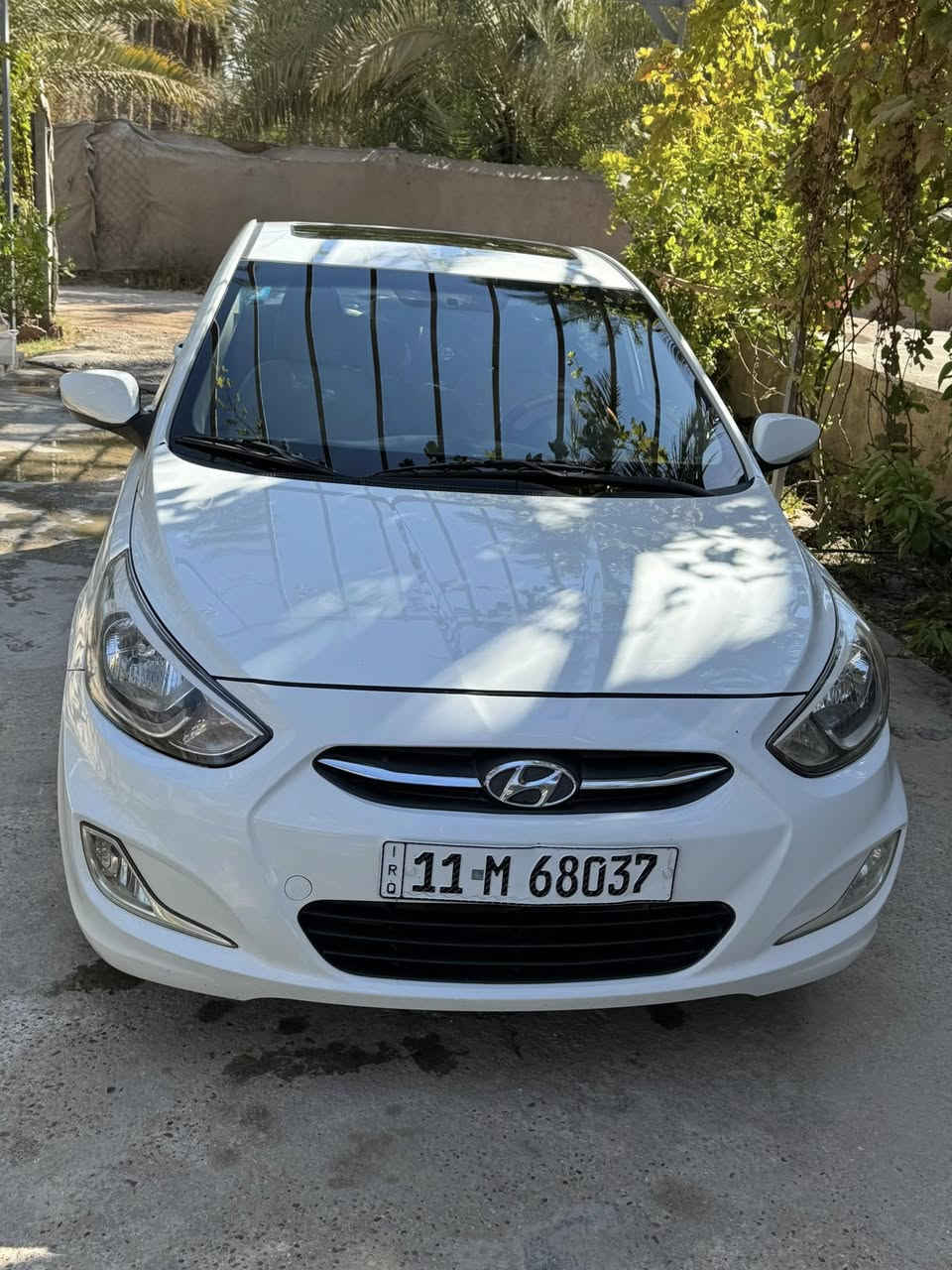 يالله السلام عليكم اخوان اكسنت موديل ١٦السياره اخوان فول موصفات محرك ١٦٠٠جديد فتحه تحكم ٥تجوات. المهم بعد بيها موصفات هيه فول اخوان معروفه بعد السياره جاهزه ع آخر حبابه الف ماتصرف عليها وكلشي بيها شغال ع شركه رقم بغداد دولي تحويل مباشر سنويه لل٢٩اخوان صبغ قطعه ونص فقط بدون اي دواخل المكان كربلاء الحسينه السعر ١٠٥وبيها مجال لاستفسار اتصال فقط ***********
