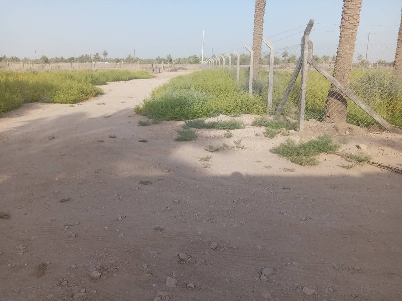 السلام عليكم نص دونم طابو اسهم تحويل المساحه ١١٥٠ على ٣شوارع ركن بستان ومتوفرماء كهرباء وبوري ماي باب البستان على طريق السفينه خلف ثانويت الواثق
***********
