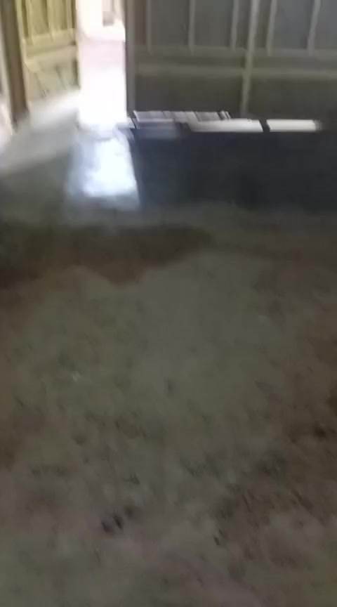 بيت لبيع تفاصيل بل فديو طابو صرف بل خمسه كيلو قرب جامع اتقوه سعره ١١٥ قابل للتفاوض


**إذا كنت صاحب هذا الإعلان وتريد حذفه لأي سبب، رجاءا أرسل رسالة إلى الدعم الفني**