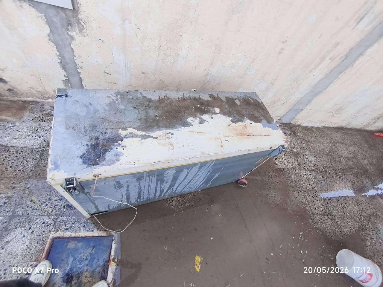 گشر مجمدة للبيع مع صوندة خنزيرة أربع امتار ثلاث انج ***********
