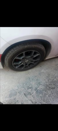 تخم ويل كب حجم 19 للبيع 07708823340