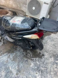 سكنس • فحل • جديده