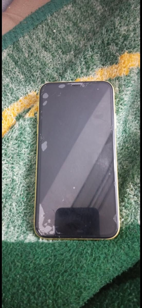 ايفون 11 لون ليوني مبدل شاشه بطاريه شاشه بطاريه اصليات شديتهن 150اذا كو مروس برو مكاس عاد هم يرهم مكاني بعقوبه سعره 180 بي مجال قليل فيس ايد مشتغل  *********** ذاكره 128
