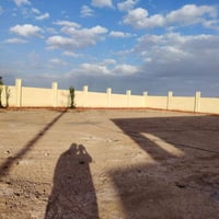 شغل اليوم السلام عليكم   يوجد گص ثيل   مع گص ورد   مع حش لاين   مع تنض...