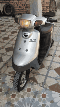 سلام عليكم شباب زهره للبيع مجفته تجفيته اصليه كفراتها اصليه نقص بيها بس سلف شلعوا معدل فول مكاني ديوانيه مركز ***********
